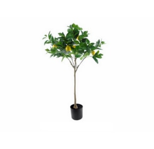 PLANTA LIMOEIRO 120cm  04 0013203