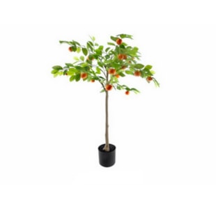 PLANTA TANGERINEIRA 120cm  04 0013205