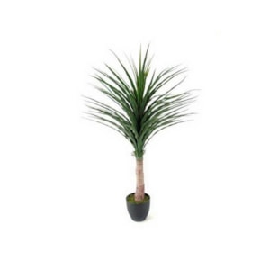 PLANTA YUCCA 112cm  04 0014378