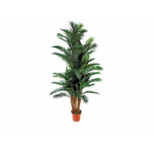 PLANTA PALMEIRA 170cm  04 0003469