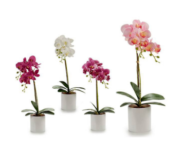 VASO ORQUIDEA 51cm 55249