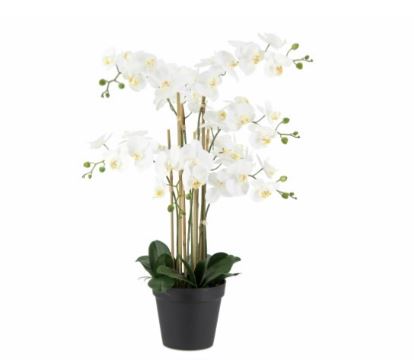 VASO ORQUIDEA BR 90cm 04 0013517