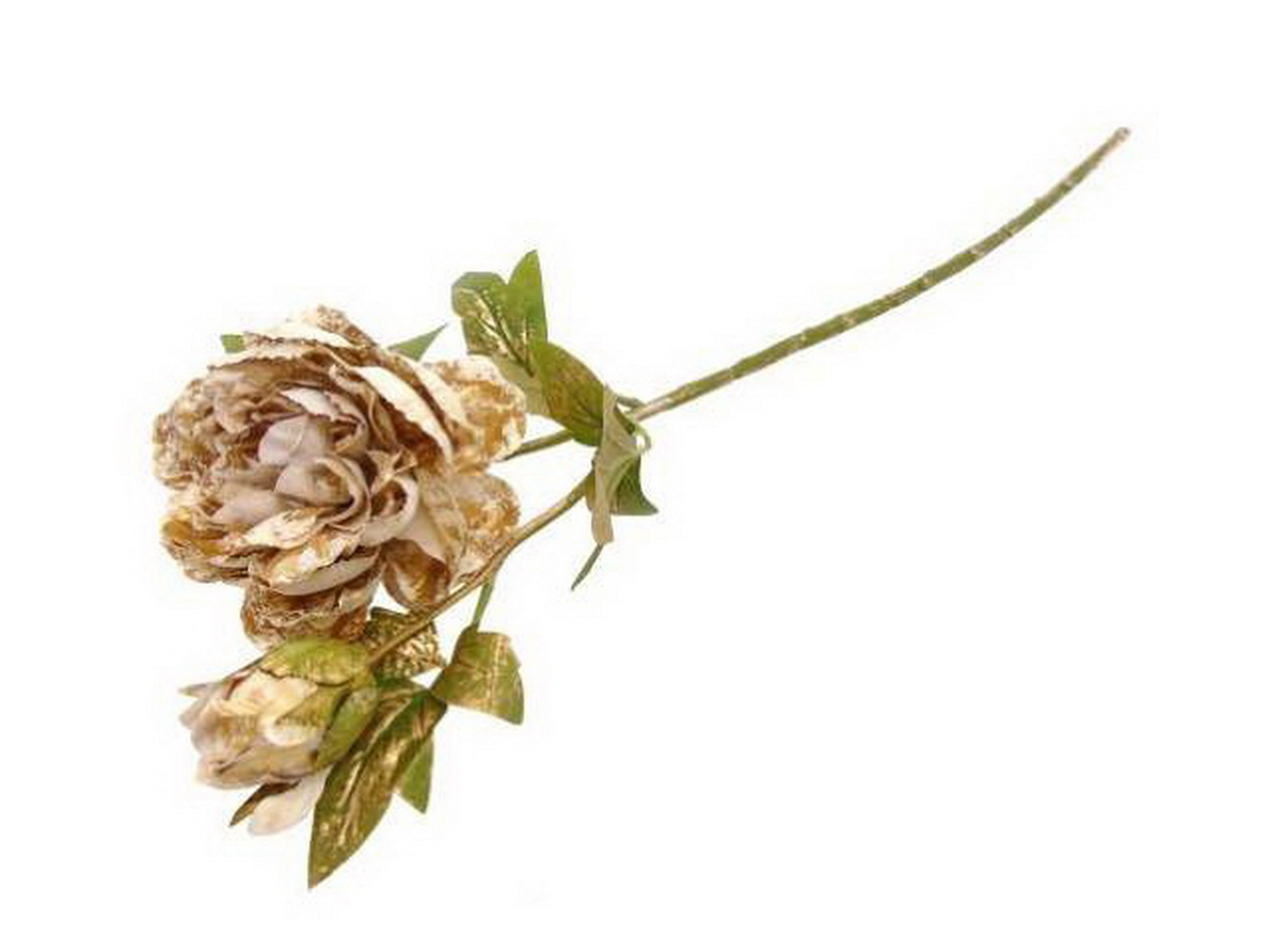 HASTE PEONIA BG/DOUR 66cm 04 0014309