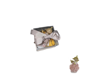 CX C/ANJO ROSA 6x8 MS182765-4G