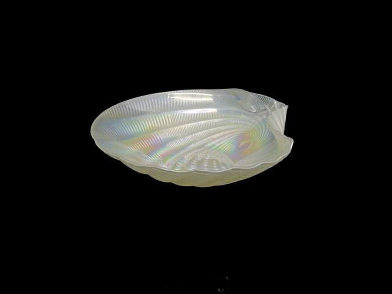 TACA VIDRO CONCHA BR 25x23x6 03 0004768