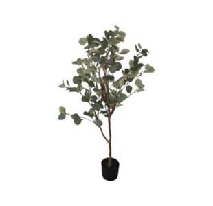 PLANTA EUCALPTUS 115cm 40180