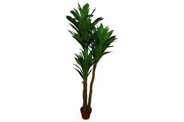 PLANTA ART DRACAENA 180cm 04 0006781