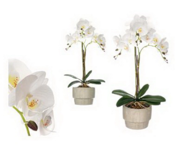 VASO ORQUIDEA BRAN 18x56 59602