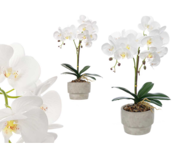 VASO ORQUIDEA 49cm 59623
