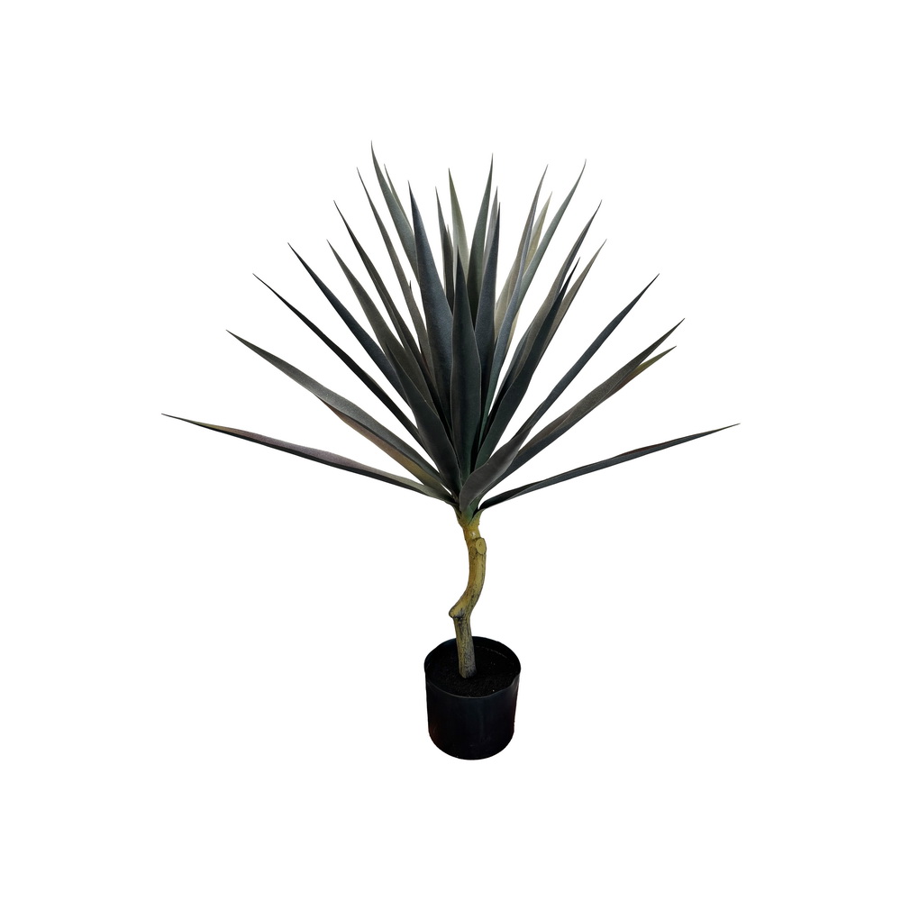 PLANTA AGAVE 80cm 40024