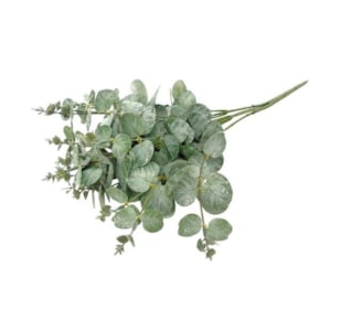 RAMO EUCALIPO VRD/PRAT 48cm 10 0008330