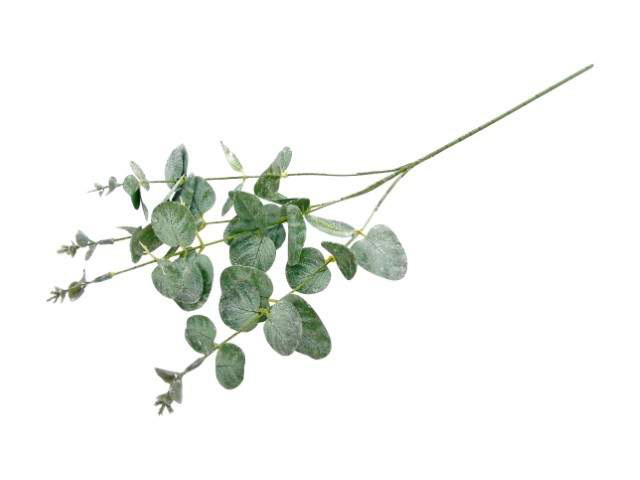 HASTE EUCALIPO VRD/PRAT 60cm 10 0008329