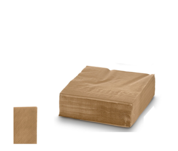 CJ 50 GUARDANAPOS DOU 16x17x5 17GR 11952