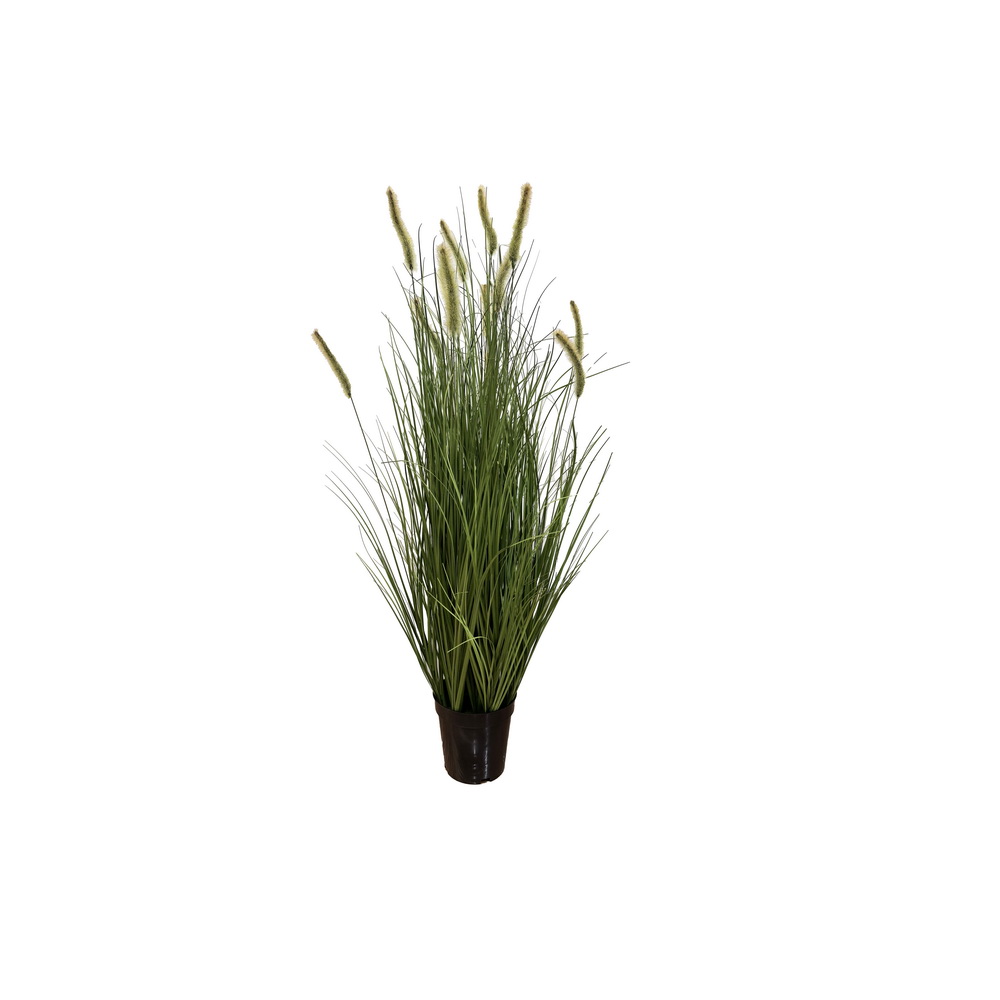 PLANTA PAMPAS GRASS VRD 90cm 30413