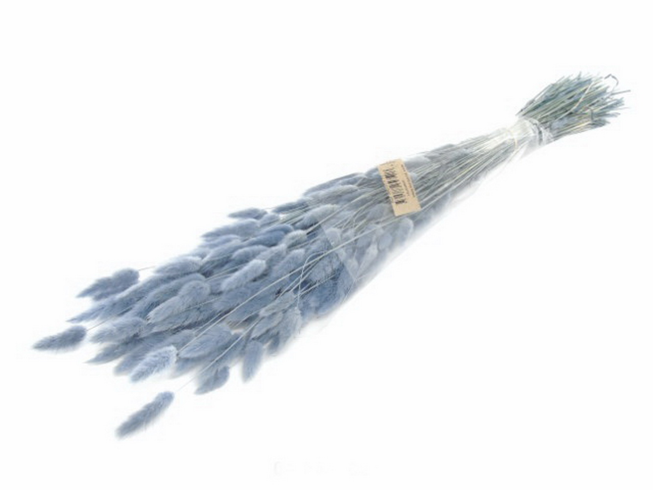 RAMO LAGURUS 72 CIEN 60cm 04 0012686