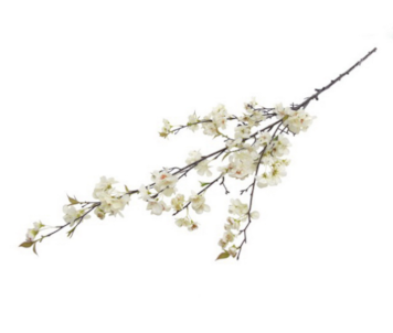 HASTE CEREJEIRA BRANCO 150cm 04 0014406