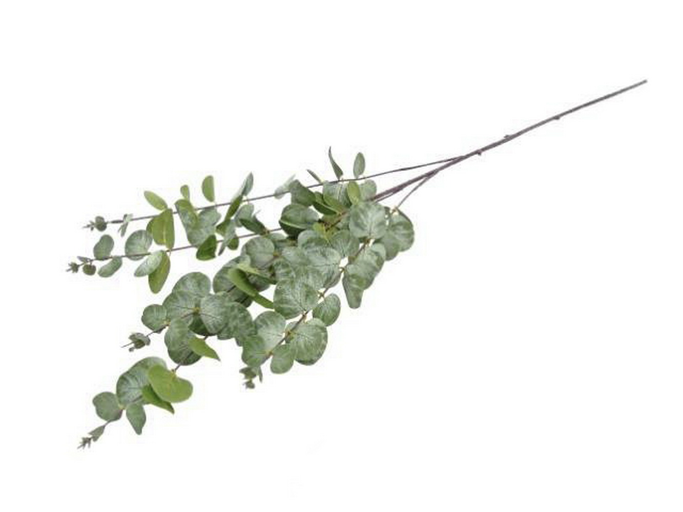 FOLHAGEM EUCALIPO VERDE 98cm 10 0008332