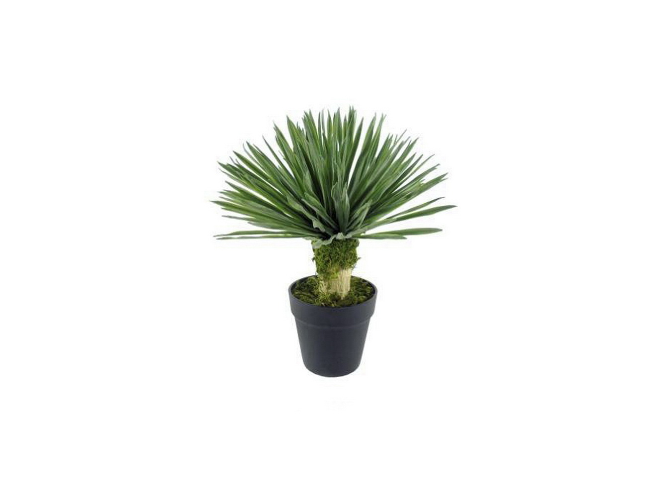 PLANTA ARTIF DRACAENA 45cm 04 0014393