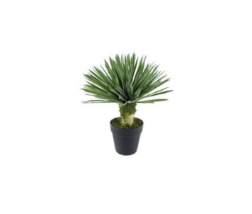 PLANTA ARTIF DRACAENA 45cm 04 0014393