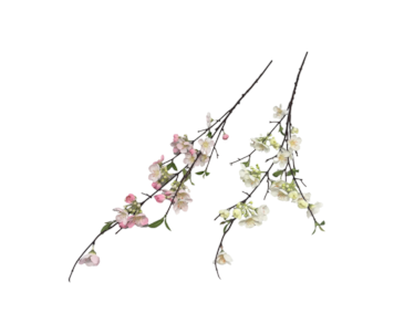 HASTE MACIEIRA 105cm 53176