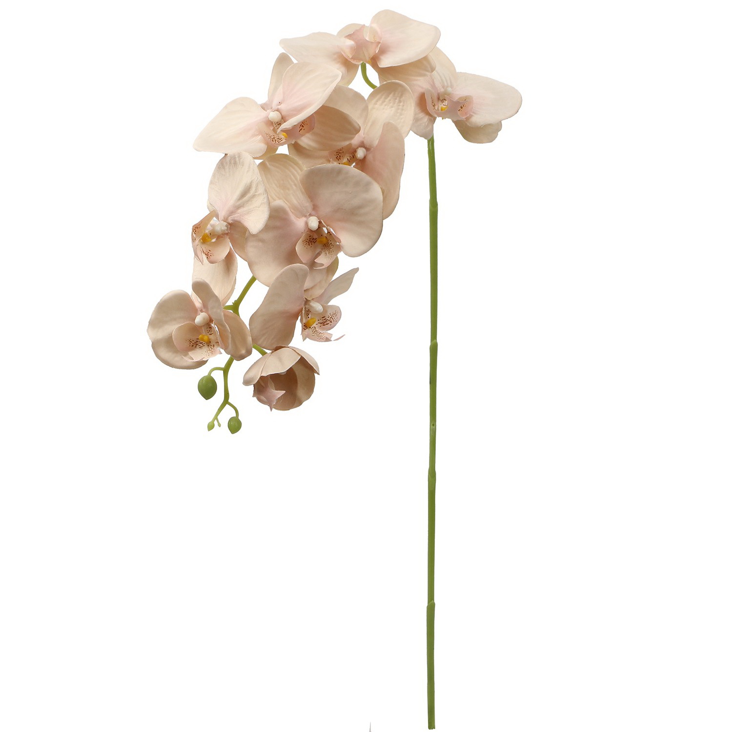 HASTE ORQUIDEAS ROSA 90cm 227121