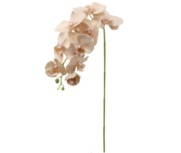 HASTE ORQUIDEAS ROSA 90cm 227121