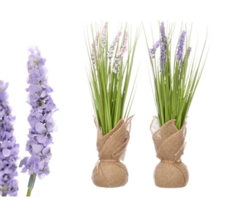 VASO LAVANDA 2S 10x41 60578