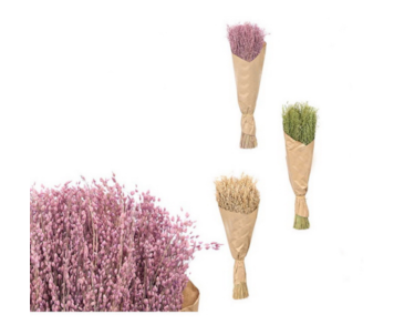 RAMO FLORES SECAS 3 S 10X40 41837