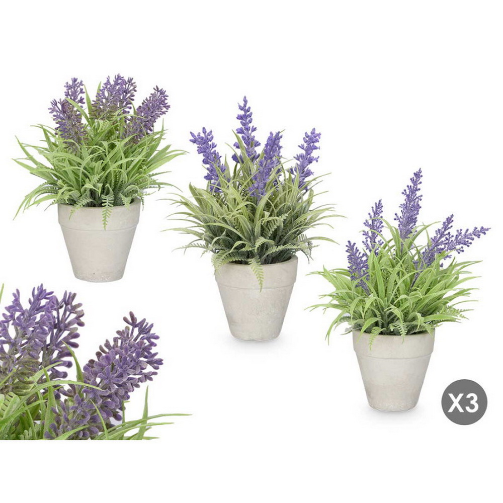 VASO C/LAVANDA 3S 15x22 10905