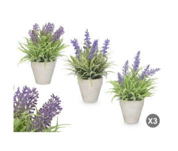 VASO C/LAVANDA 3S 15x22 10905