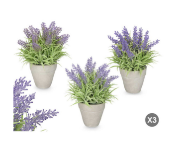 VASO C/LAVANDA 3S 18x25 10913