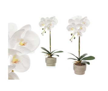 VASO ORQUIDEA 43cm 59595