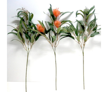 HASTE PROTEA X3 65cm 30590