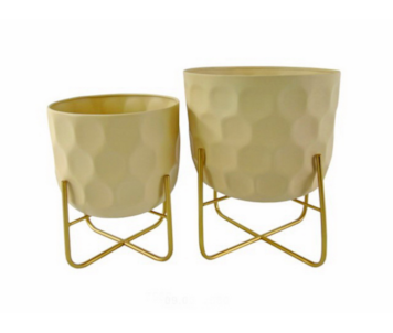 CJ 2 FLOREIRAS BG/D 30x38+25x31 0027580