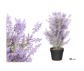 VASO C/LAVANDA 15x48 14126