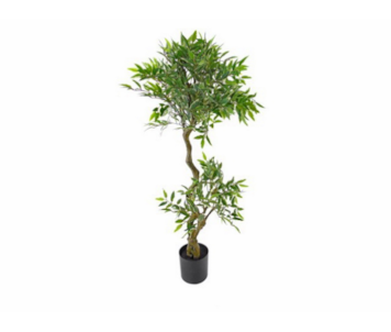 PLANTA FICUS 145cm  04 0005344