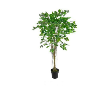 PLANTA ART R TOUCH FICUS 160cm 04 0014400