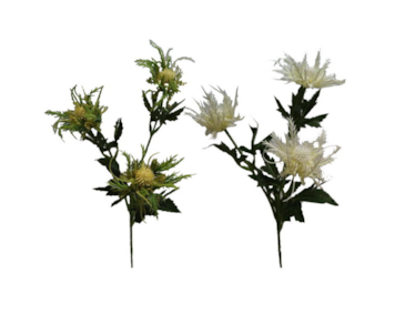 HASTE CARDOS X3 67cm 20299
