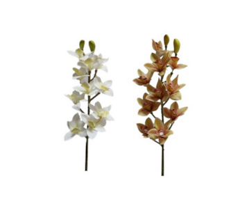 HASTE ORQUIDEA NAT 2S 72cm 20332