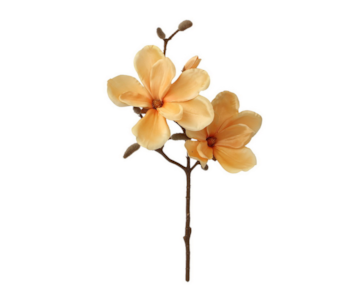 HASTE MAGNOLIA 50m AMAR 27075