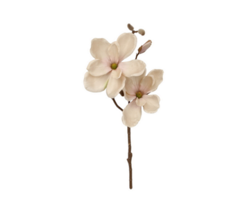 HASTE MAGNOLIA BG 50cm 27077