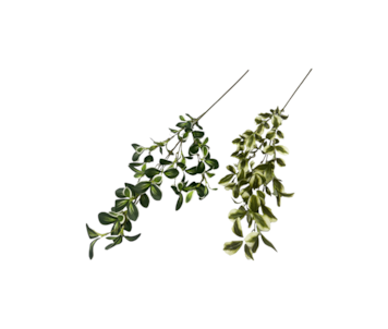 HASTE FOLHAGEM COLEOS 90cm 30333