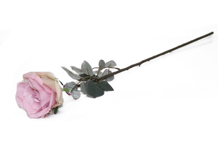 HASTE ROSA ROSA 76cm  BY19212#2