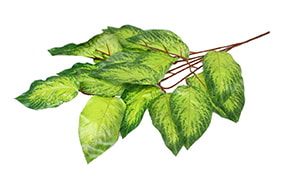 HASTE FOLHAGEM A X 5 74cm 30148
