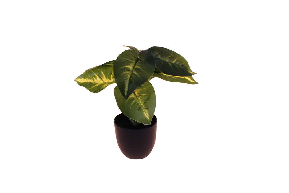 VASO CALADIUM 25cm 25059